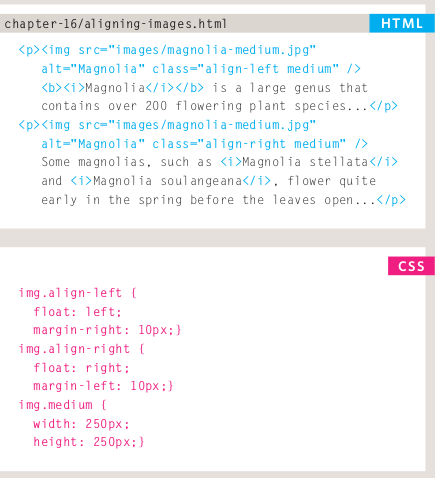 CSS