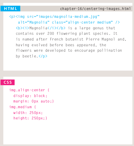 CSS